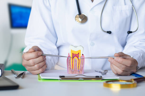 Best Cracked Tooth Emergency Dentist  in Lake Butler, FL